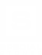 Logo branca special stones